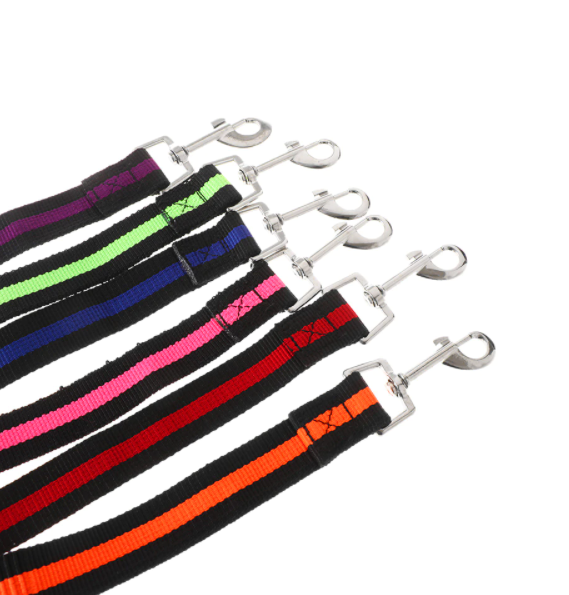 Pet Lead Large Small Dog Leash 1.2 Metre Expandable Bungee Training Rope