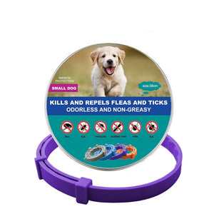 New Pet Dog Cat Collars Veterinary Anti Flea And Tick For Cats Dogs