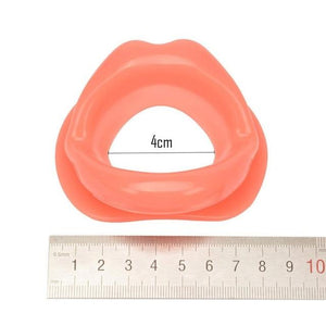 House Of Dasein Silicone Rubber Open Mouth Lips Gag Bdsm Bondage Kink