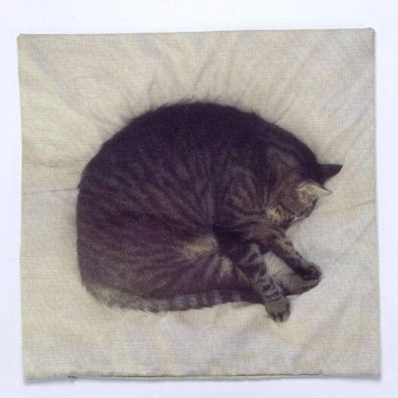 Sleeping Cat Pattern Square Shape Pillow Case Cushion Cover Without Inner