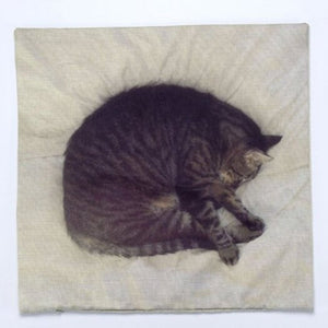 Sleeping Cat Pattern Square Shape Pillow Case Cushion Cover Without Inner