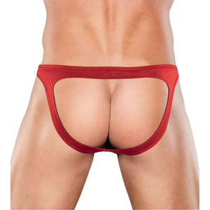 Spank Me Bikini Novelty Underwear