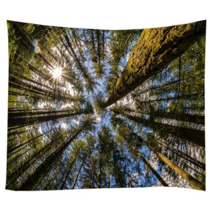 Sunshine Forest Sky Print Tapestry Wall Hanging Decor Green W59 Inch L59