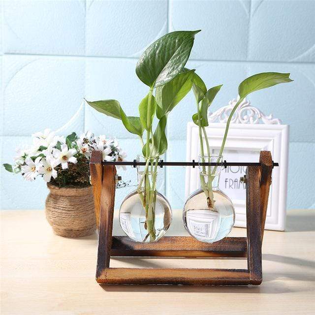 Glass And Wood Hydroponics Vase Planter Desktop Terrarium