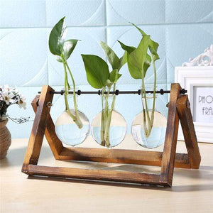 Glass And Wood Hydroponics Vase Planter Desktop Terrarium