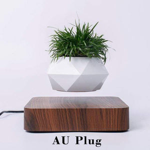 Levitating Pot Bonsai Magnetic Floating Rotating Plant