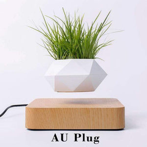 Levitating Pot Bonsai Magnetic Floating Rotating Plant