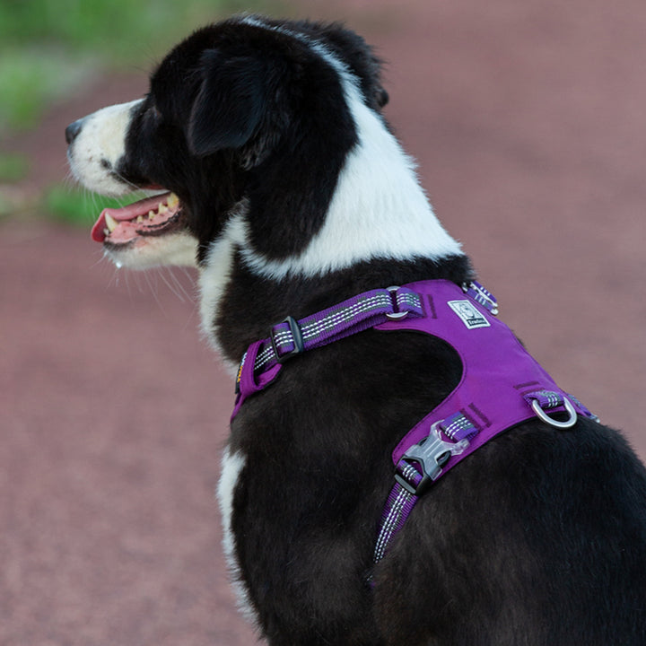 3M Lightweight Reflective Harness Purple 2Xs