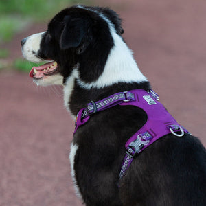 3M Lightweight Reflective Harness Purple S