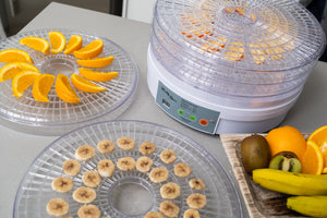 Healthy Choice Design Food Dehydrator/ Preserver W/ 2 Power Levels