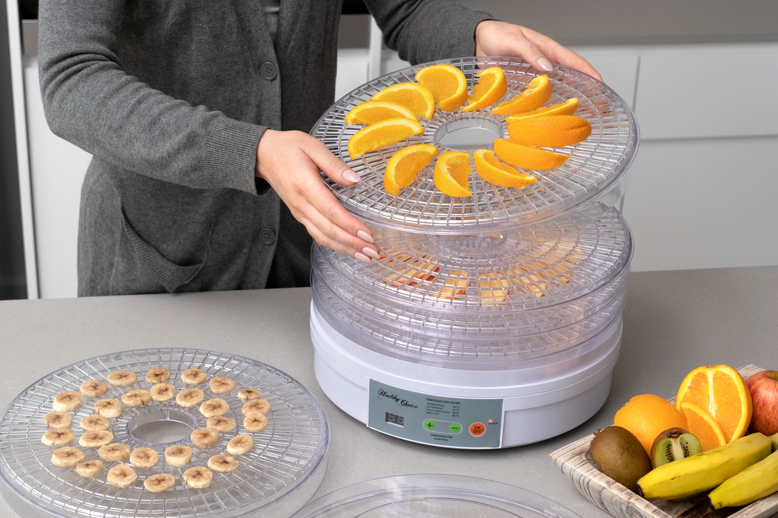 Healthy Choice Design Food Dehydrator/ Preserver W/ 2 Power Levels