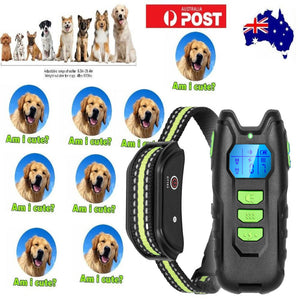 Electric Pet Dog Training Anti Bark Collar Sound Vibrate Auto Rechargeable New