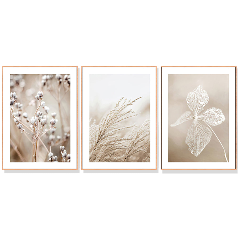 40Cmx60cm Dried Flower 3 Sets Wood Frame Canvas Wall Art