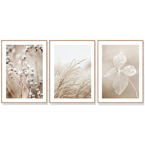 50Cmx70cm Dried Flower 3 Sets Wood Frame Canvas Wall Art