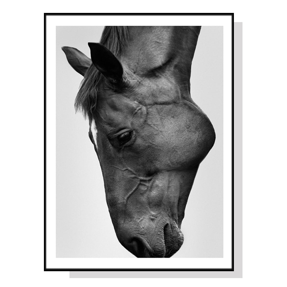 50Cmx70cm Modern Black Horse Frame Canvas Wall Art