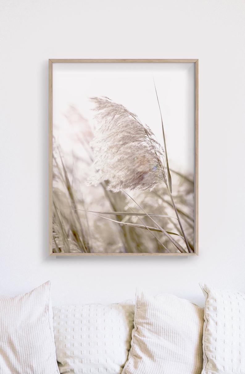 50Cmx70cm Pampas Grass 2 Sets Wood Frame Canvas Wall Art