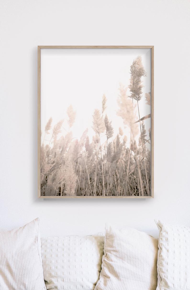 50Cmx70cm Pampas Grass 2 Sets Wood Frame Canvas Wall Art