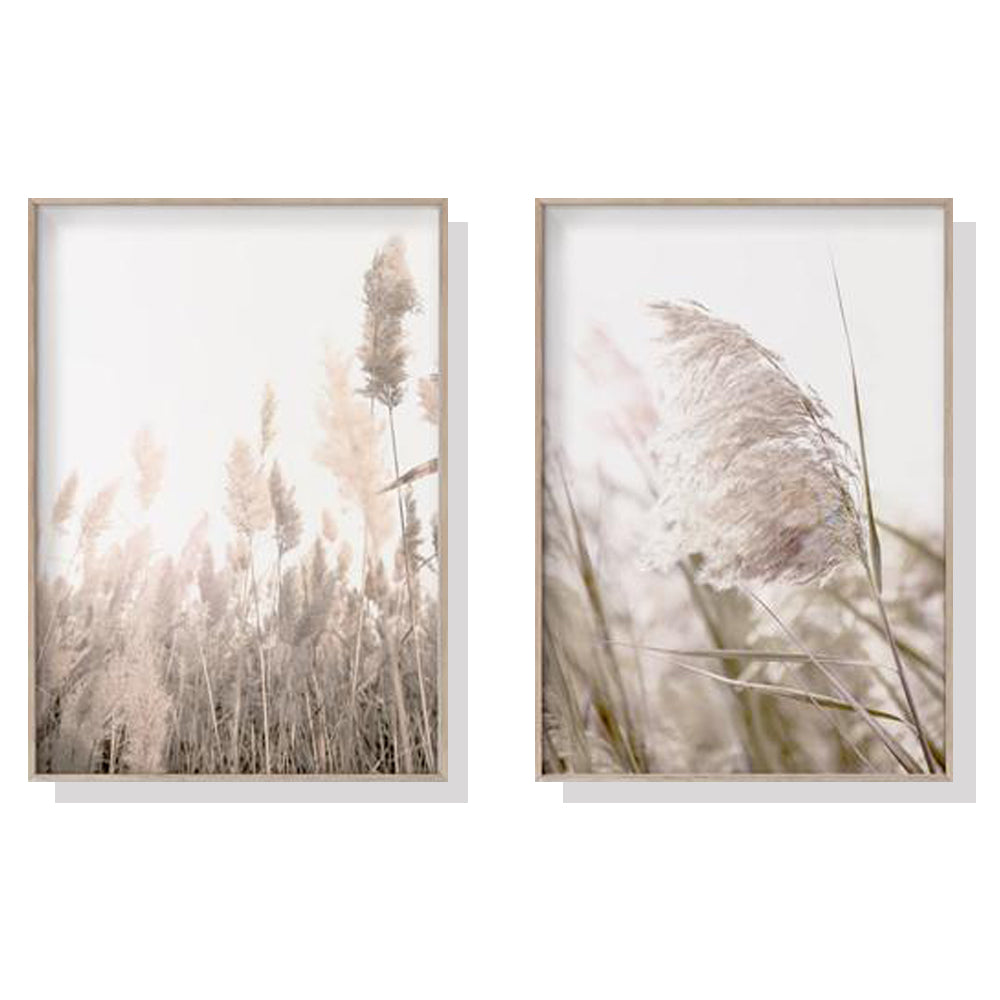 50Cmx70cm Pampas Grass 2 Sets Wood Frame Canvas Wall Art