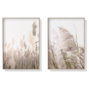 50Cmx70cm Pampas Grass 2 Sets Wood Frame Canvas Wall Art