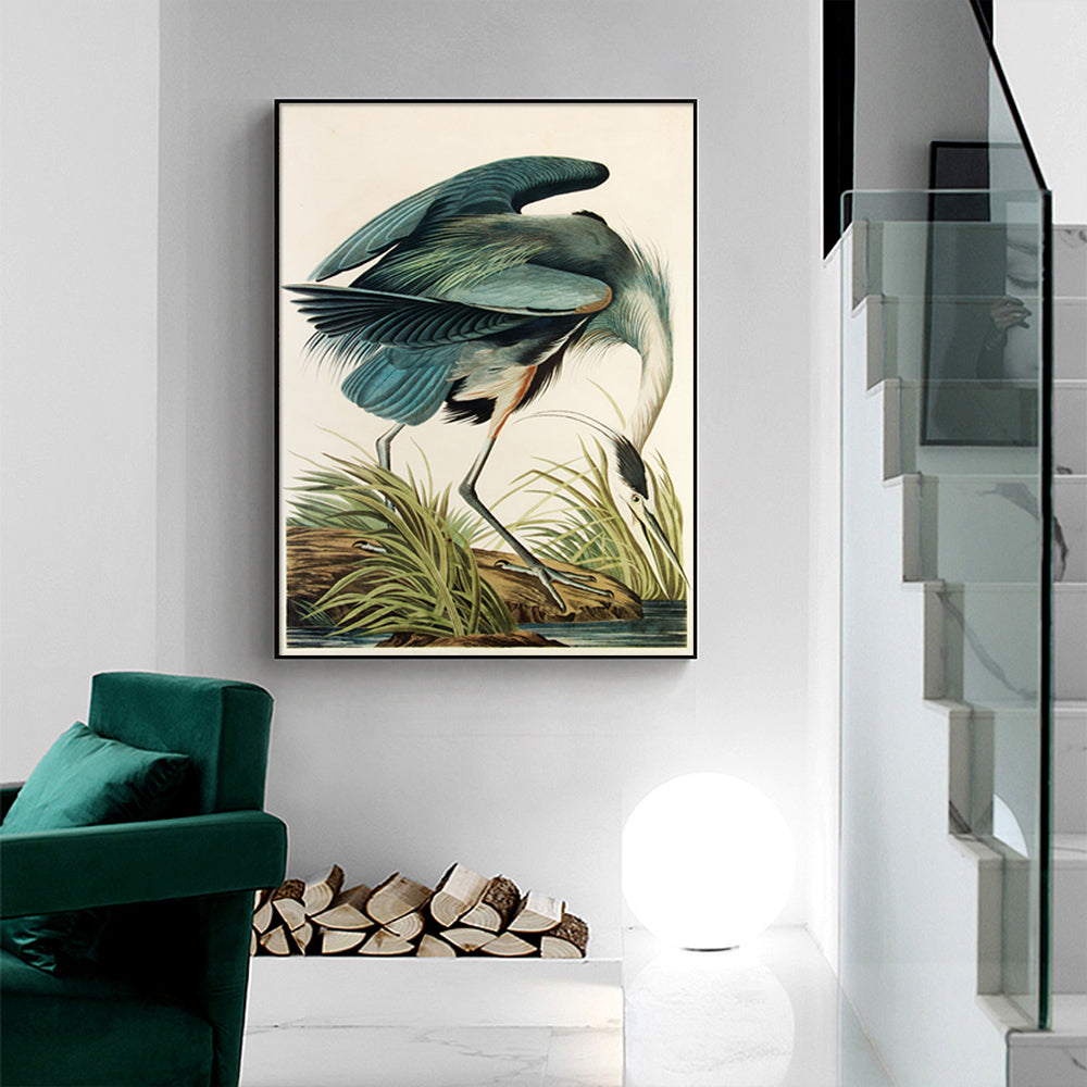 70Cmx100cm Great Blue Heron By John James Audubon Black Frame Canvas Wall Art