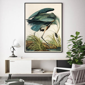 70Cmx100cm Great Blue Heron By John James Audubon Black Frame Canvas Wall Art