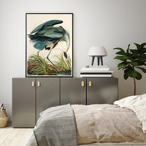 70Cmx100cm Great Blue Heron By John James Audubon Black Frame Canvas Wall Art