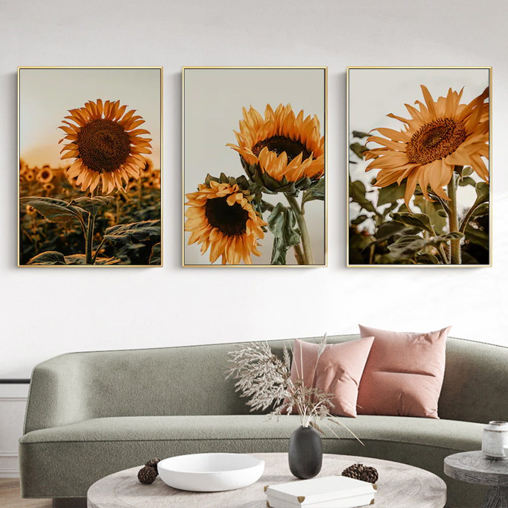 Wall Art 50Cmx70cm Sunflower 3 Sets Gold Frame Canvas