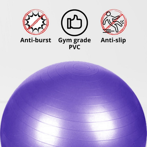 Verpeak Yoga Ball 65Cm (Silver) Ft-Yb-103-Sd / Ft-Yb-103-Zm