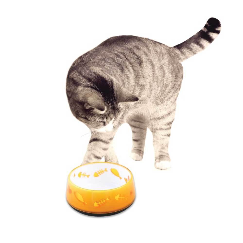 300Ml Cat Bowl Orange Love - Afp Kitten Pet Food Water Feeding Anti Slip Dish