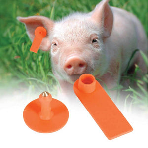 100X Cattle Ear Tags 5X2cm Set - Mini Orange Blank Pig Goat Livestock Label