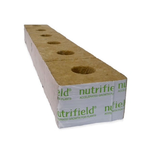 100X100x65mm Stonewool 6Pk - Planting Propagation Growing Assist Block Nutrifield