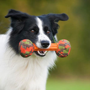 Major Dog Barbell - Small Retrieval Toy