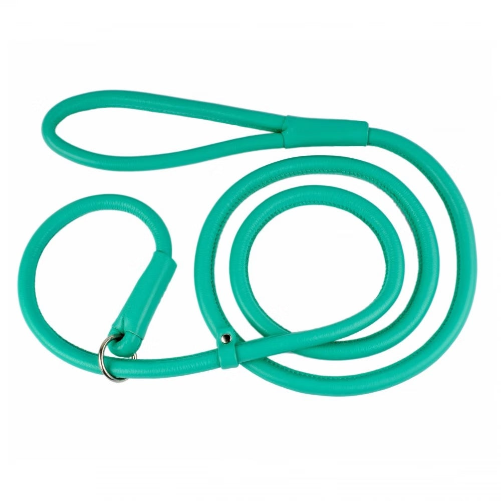 Waudog Leather Round Slip Leash W8mm- L183cm Mint