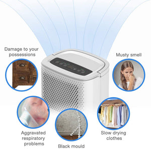 Shinco Sdz-10L Dehumidifier