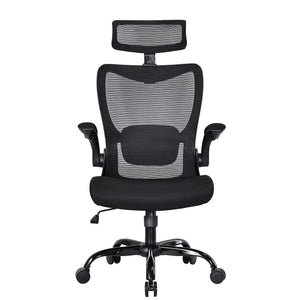 Mona Ergonomic High Back Flipped Armrest Task Chair In Black