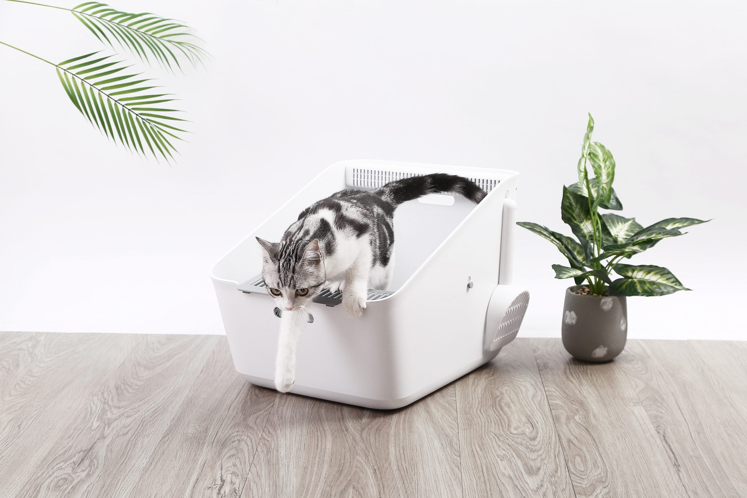 Petkit Pura Cat Litter Box