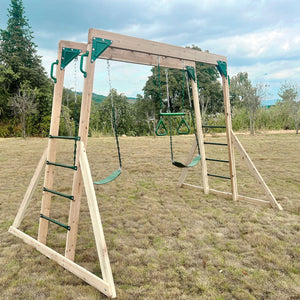 Lifespan Kids Daintree 2-In-1 Monkey Bars & Swing Set