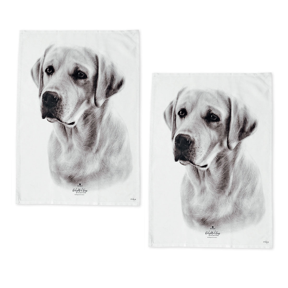 Set Of 2 Delightful Dogs Cotton Kitchen Tea Towels 50 X 70 Cm Labrador