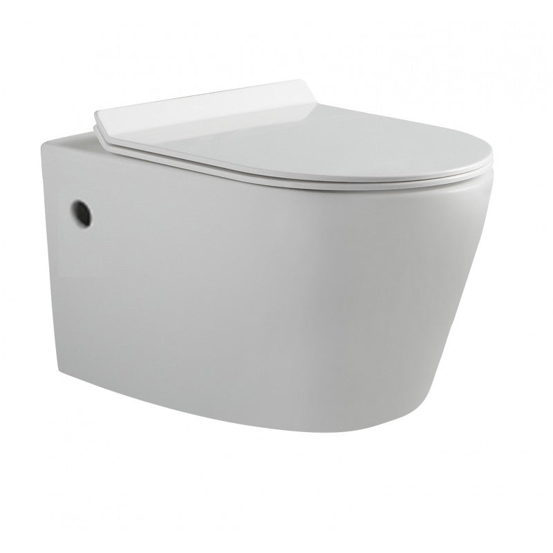 Flay-R Rimless Wall Hung Pan