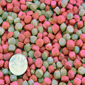 6-8Mm Premium Floating Pellet 16Kg Bag