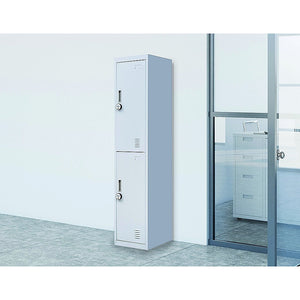 2-Door Vertical Locker For Office Gym Shed School Home Storage