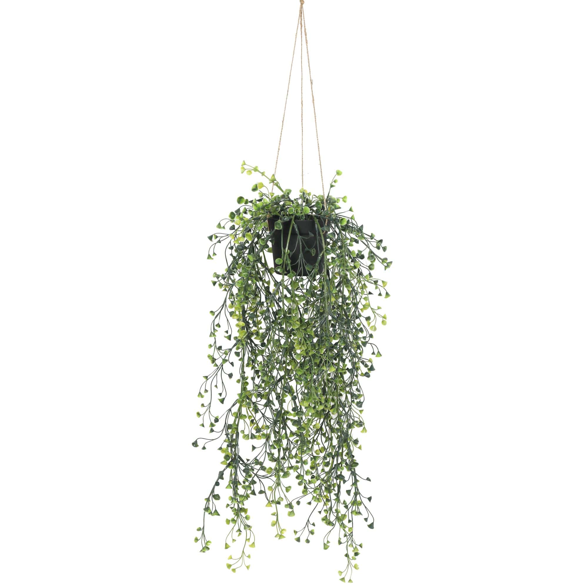 Artificial Hanging Pearls (Potted) 56Cm Uv Resistant