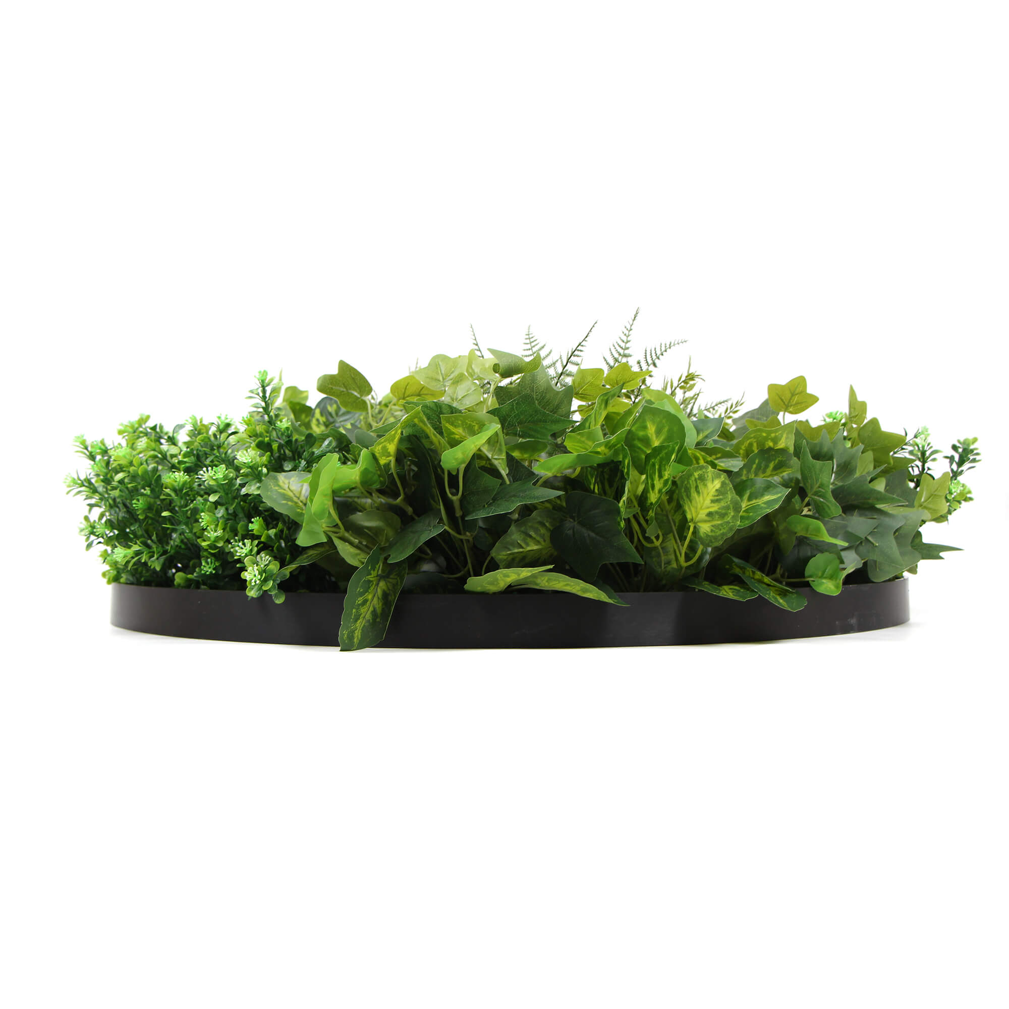 Slimline Artificial Green Wall Disc 80Cm Mixed Fern & Ivy (Modern Black)