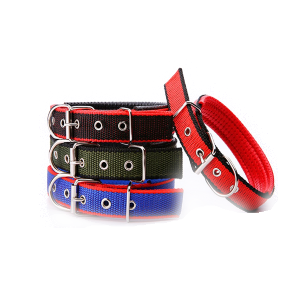 Walk Me Nylon Flat Dog Collar